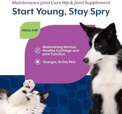 NaturVet Maintenance Hip & Joint Care with Chondroitin, Dogs & Cats, 60ct