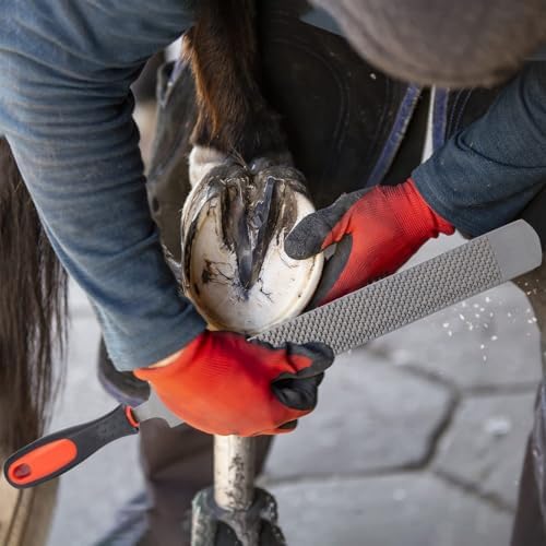 12pcs Professional Farrier Tools Farrier kit Horse shoeing Tools Farrier Supplies Farrier Tools for Horses Cattle Sheep and Donkeys