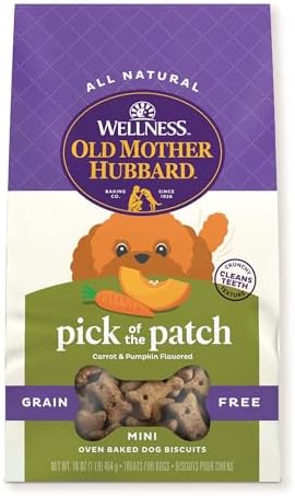 Wellness Old Mother Hubbard Classic Grain Free Pick of the Patch Dog Biscuits, Natural Training Treats, Pumpkin and Carrot Flavor, Mini Size. 16 oz Bag