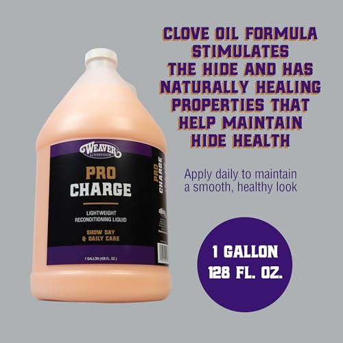 Weaver Livestock ProCharge Reconditioning Liquid, Hide Hair, Wool Shampoo to Revive, Nourish and Restore, Daily Use, Cattle Show Supplies