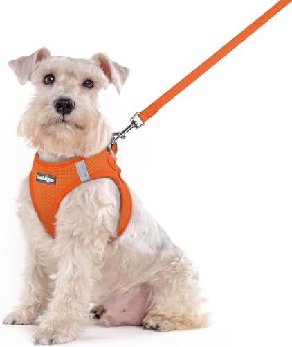 rabbitgoo Dog Harness Medium Sized and Leash Set, Step-in Puppy Pet Vest