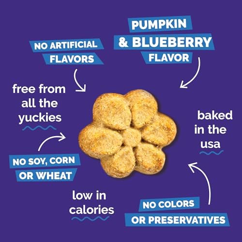 Fruitables Baked Dog Treats, Low Calorie Treats, Pumpkin & Blueberry, 12oz
