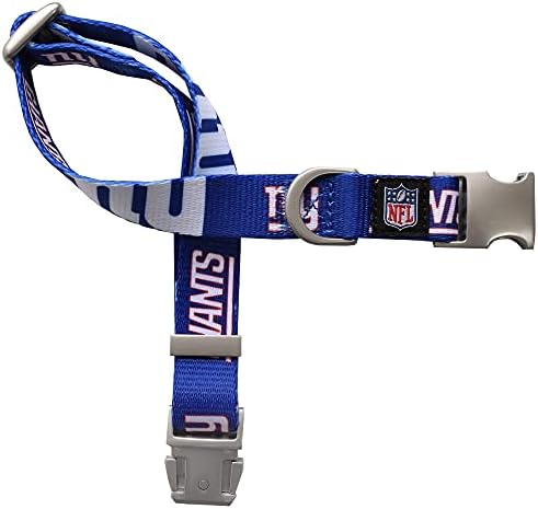 Littlearth NFL Detroit Lions Pet Premium Collar, Team Color, Small