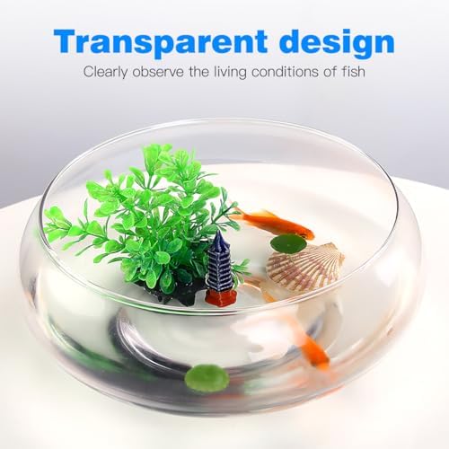 VANZACK Transparent Aquarium Tank Desktop Betta Tank Shallow Acrylic Fish Bowl for Goldfish Plants and Aquatic Pets Home Office Decor 9.52 X 9.52 X 3.93 in 1 Fish