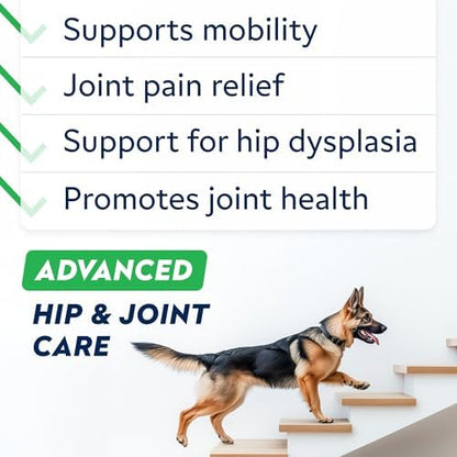 Advanced Glucosamine for Dogs, Collagen&Green Lipped Mussel - Joint Health