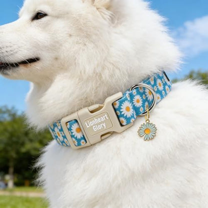 Lionheart Glory Dog Collar - Cute Daisy Floral Pet Collar with Quick Release Buckle, Soft Adjustable Collar for Small Dogs Puppy Male Female Spring Summer