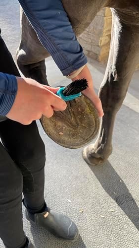 Horse Hoof Pick with Brush - Non-Slip Ergonomic Handle, Heavy-Duty Steel Pick & Stiff Bristles - Removes Dirt, Mud & Rocks - Horse Grooming Tool for Daily Hoof Care (Pink)