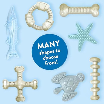 Spunky pup Clean Earth Heavy Duty Dog Chew Toys for Aggressive Chewers - Recycled, Made in USA, Starfish