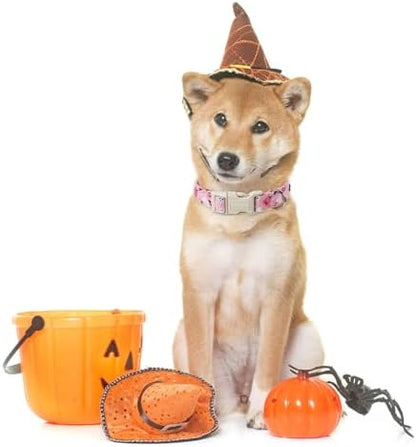 Lionet Paws Halloween Pink Dogs Collar Halloween, Ghost Pumpkin Puppy Collars with Quick Release Buckle for Boy and Girl Female Dogs Small, XS, Neck 8-12 inches