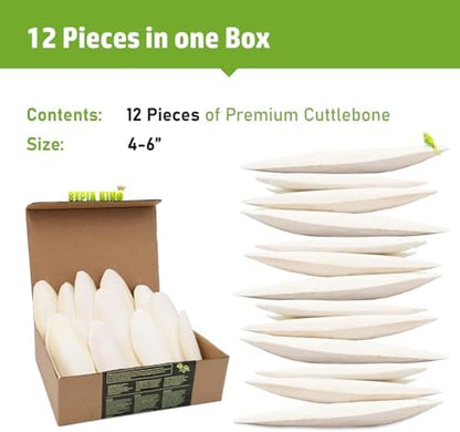 Sepia King - Medium - 100% Natural Calcium Supplement - Premium Cuttlebone Perfect for Birds, Tortoises, Snails, Reptiles - 12 Pack
