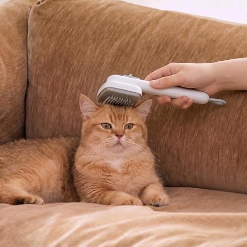 Cat Brushes for Indoor Cat，Pet Steam Brush for Dog Cats Grooming Kit Supplies Hair Grooming for Long Short Hair Cats Dogs (White)