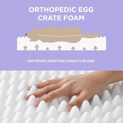 LE SURE Cute Orthopedic Dog Bed Large Sized Dog, Flat Pet Mat,36x27in Cream