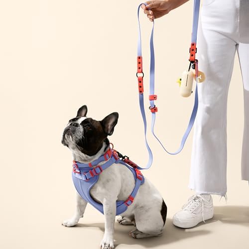 WLK1005E-5SET Luna Medium 8FT Adjustable 6-in-1 Waterproof Hands-Free Leash and Collar with LED Flashlight, Bag Dispenser, and Poop Bag Holder, Sangria