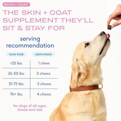 Native Pet Skin & Coat Chews - Omega 3 Fish Oil for Dogs Skin & Coat Supplement - Itch Relief, Shiny Fur & Shedding Support - Collagen, Hyaluronic Acid, Biotin, Probiotics & Salmon Oil - 30 Chews