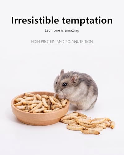 Niteangel Small Animal Snack & Treats - Freeze-Dried Worms & No Additive