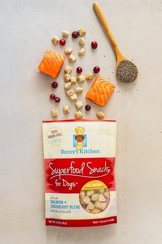 Salmon Cranberry Freeze Dried Dog Treats USA Sourced and Small Batch Made - Human-Grade, All Natural Superfood Dog Snacks Without Artificial Preservatives, Grain Free - 3.5 oz
