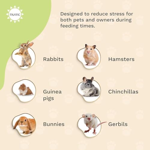 Hay and Food Feeder for Rabbit, Guinea Pig, Bunny, Chinchilla, Heavy Duty Metal Bin 5.5 x 5.5 x 7 inch (Pack of 2)