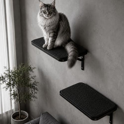 Cat Wall Shelves Set of 2, Black Solid Wood Window Perches with Sisal Mats