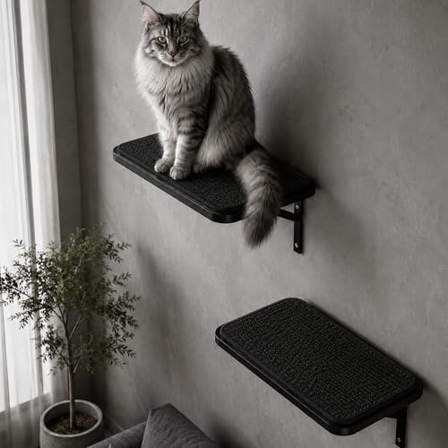Cat Wall Shelves Set of 2, Black Solid Wood Window Perches with Sisal Mats