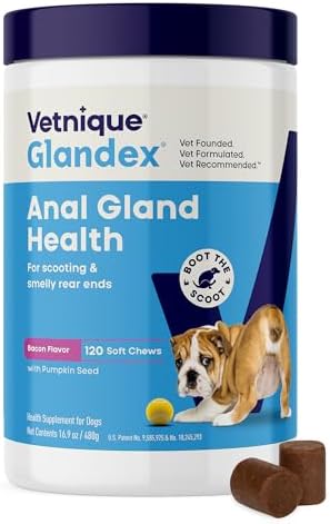 Vetnique Glandex for Dogs Anal Gland Chews 120ct Pumpkin, Digestive Enzymes