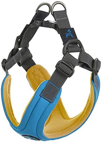 Gooby Escape Free Memory Foam Dog Harness, Step-in, Blue, Small