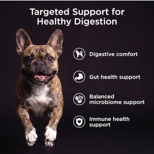 Go! Solutions Digestion + Gut Health Salmon Dry Dog Food, 3.5 lb