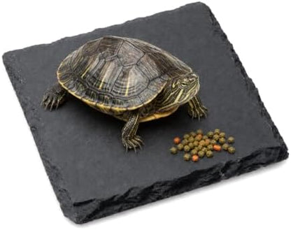 Turtle Slate Rock Reptiles Basking Platform