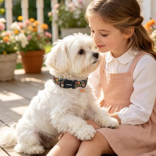 DOGWONG Halloween Pumpkin Dog Collar, Autumn Pumpkin Maple Cute Girl Dog Collar,Girl Boy Dogs Collars for X-Small Puppies Dogs, Neck 8-12 inches