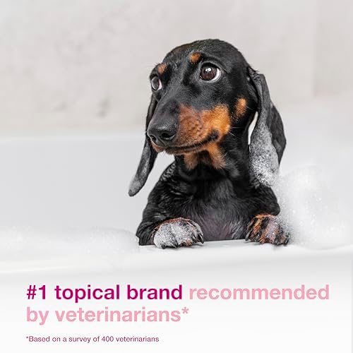 Douxo S3 Calm Dog Shampoo for Itchy Skin Relief, Dog Shampoo for Allergies and Itching, Soothes Itchy, Irritated or Allergic Skin For Dogs and Cats, 16.9 fl oz