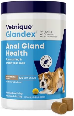 Vetnique Glandex for Dogs Anal Gland Chews 120ct Pumpkin, Digestive Enzymes
