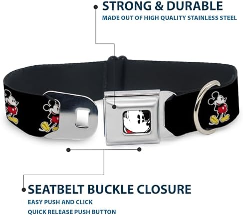 Dog Collar Seatbelt Buckle Jasmine Aladdin Carpet Ride Jasmine Poses Flowers 13 to 18 Inches 1.5 Inch Wide