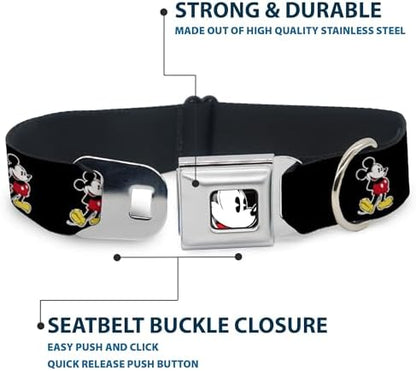 Dog Collar Seatbelt Buckle Jasmine Aladdin Carpet Ride Jasmine Poses Flowers 13 to 18 Inches 1.5 Inch Wide