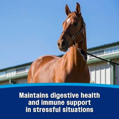 Farnam Probiotic Paste Horses in Syringe Supports Healthy Microbial Balance