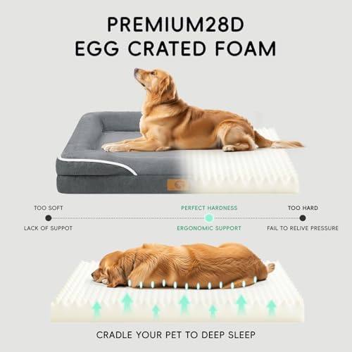 Homemate Dog Bed Large Sized Dog: 42"x30" Orthopedic Pet Bed with Toy
