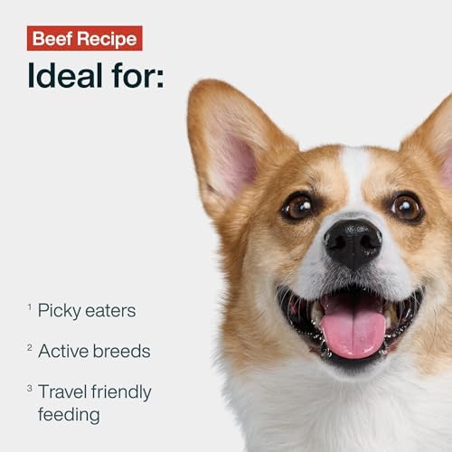 JustFoodForDogs JustFresh Fresh Wet Dog Food or Topper - Beef, 7 Pack