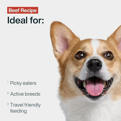JustFoodForDogs JustFresh Fresh Wet Dog Food or Topper - Beef, 7 Pack