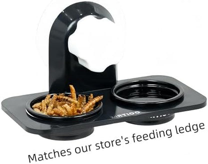 Lizard Crested Gecko Food Water Feeding Cups, 100 pcs, 0.5oz - Black