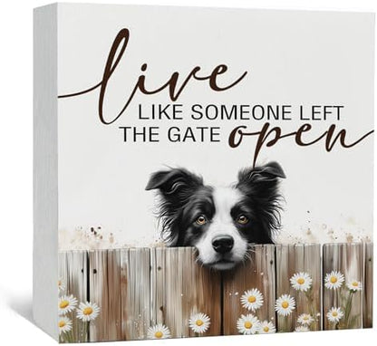 Live like Someone Left the Gate Open Border Collie Wooden Signs,Farm Cottagecore Animal Office Kitchen Bedroom Decor,Rustic Farmhouse Home Decor Signs,Border Collie Gifts for Women