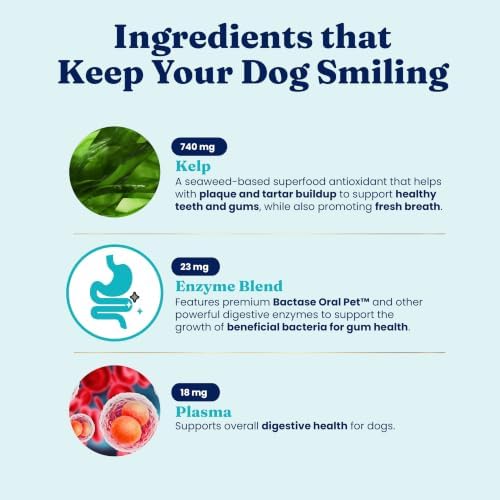 Solid Gold SeaMeal Dog Dental Powder – Plaque & Tartar Control, All Breeds