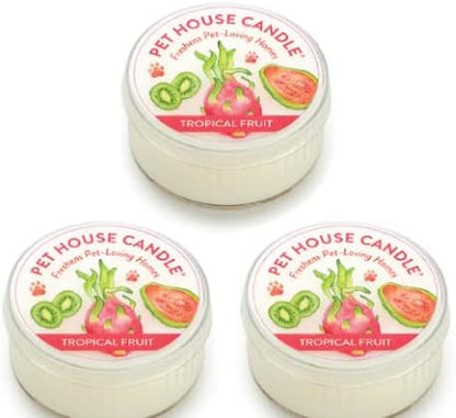 Pet House Mini Candles for Pet Odor Made with Natural Soy Wax, Plant Based, Dog and Cat Friendly Scented, Tropical Fruit Pack of 3