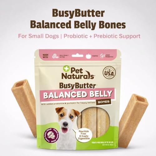 Pet Naturals BusyButter Balanced Belly Peanut Butter Bones, Rawhide-Free Chews for Small Dogs, Long Lasting Chew Bones, Probiotics and Pumpkin for Gut Health, 22 Count
