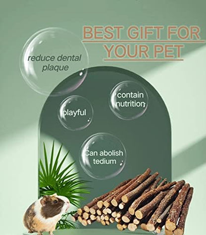 400g Apple Sticks for Rabbits,Chew Sticks for Chinchilla Hamster