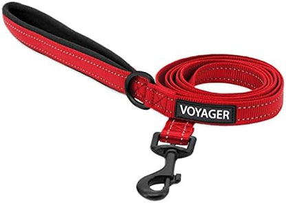 Best Pet Supplies Voyager Nylon Dog Leash - Red, Small