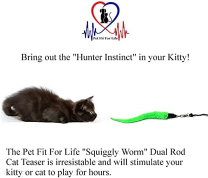 Pet Fit For Life Cat Wand Toy, 5-Piece Worm Teaser & Exerciser