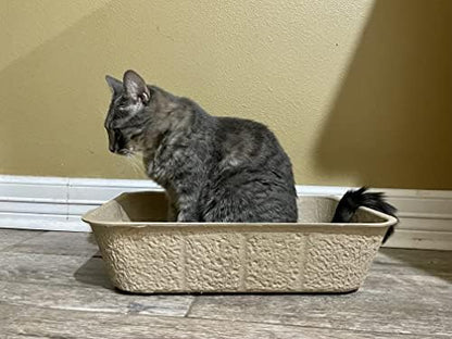 Midlee Disposable Cat Litter Boxes, Pack of 5