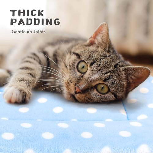 2 Pack Cat Blanket for Indoor Cats, Ultra Soft & Warm Calming Bed