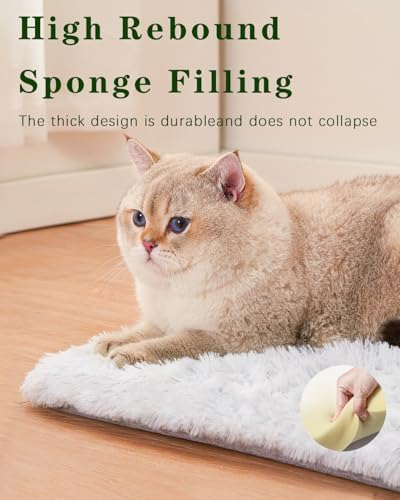 SETVSON Cat Bed Pad for Indoor Cats, 19.3*17.7*1.57 inch Soft Small Pet Bed, Double Sided Washable Cat Bed Dog Bed, Self Heating Pet Pad, Indoor Breathable Pet Mat for Small, Medium, Large Cats Puppy