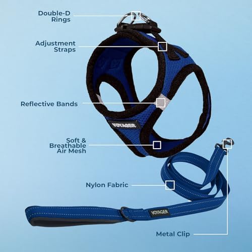 Best Pet Supplies Voyager Step-in Air All Weather Mesh Harness and Reflective Dog 5ft Leash Combo with Neoprene Handle, for Small, Medium and Large Breed Puppies - Royal Blue/Black Trim, Large