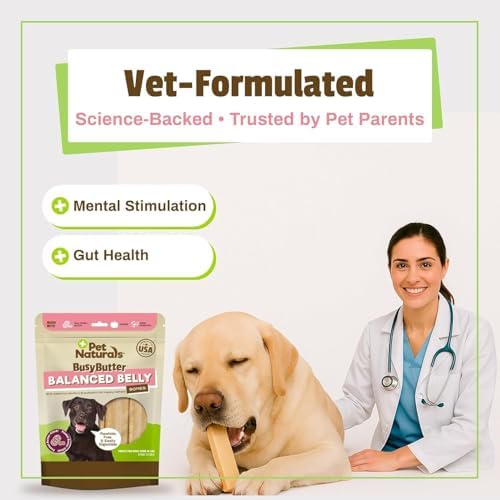 Pet Naturals BusyButter Balanced Belly Peanut Butter Bones, Rawhide-Free Chews for Medium/Large Dogs, Long Lasting Chew Bones, Probiotics and Pumpkin for Gut Health, 4 Count
