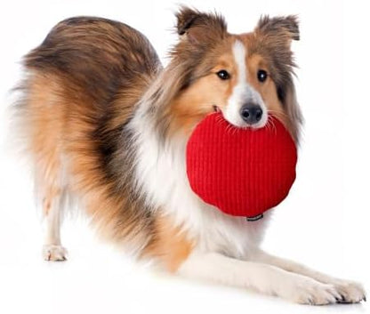 Playology Plush Crinkle Disc Dog Toy - Beef Scented - Jumbo Disc